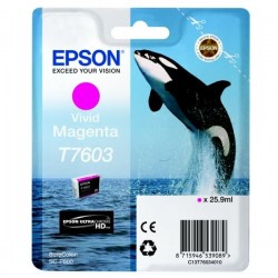  Epson T7603 C13T76034N10 cartouche Magenta